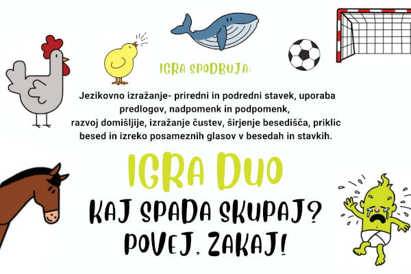 E-gradivo (PDF): Igra duo – Kaj spada skupaj? Povej, zakaj! - Image 2
